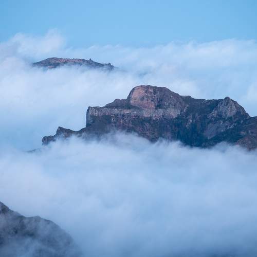 Photo #8673247