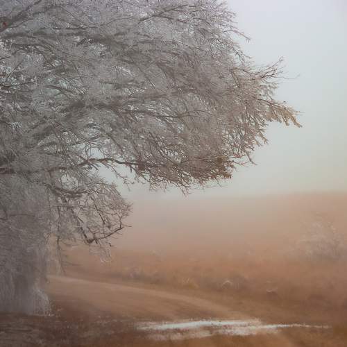 Photo #8673470