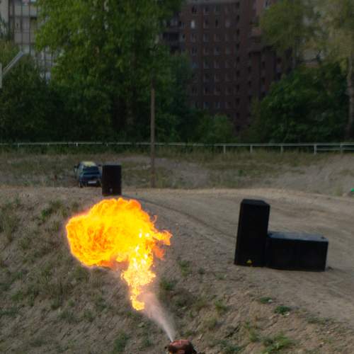 Photo #8673502