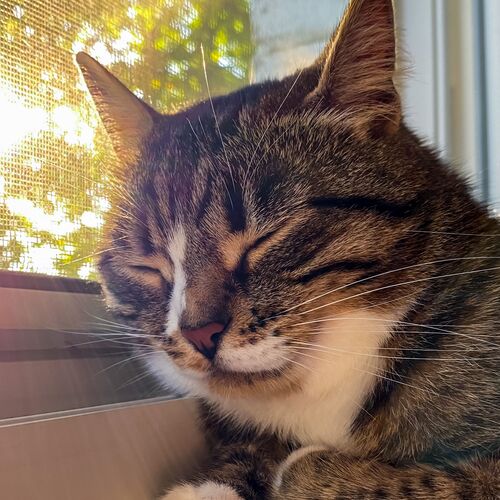 Sleeping