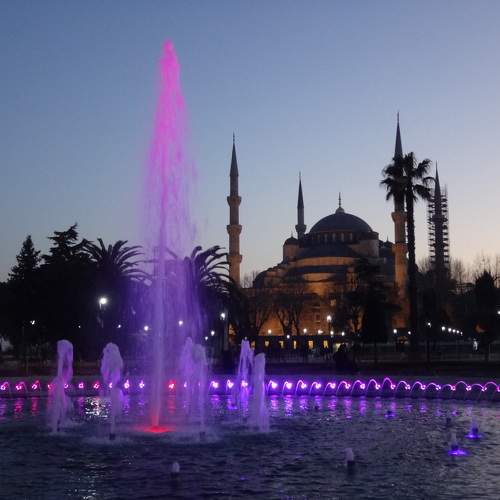 Photo #8673721