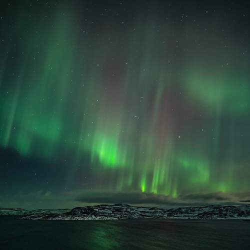 Photo #8673933