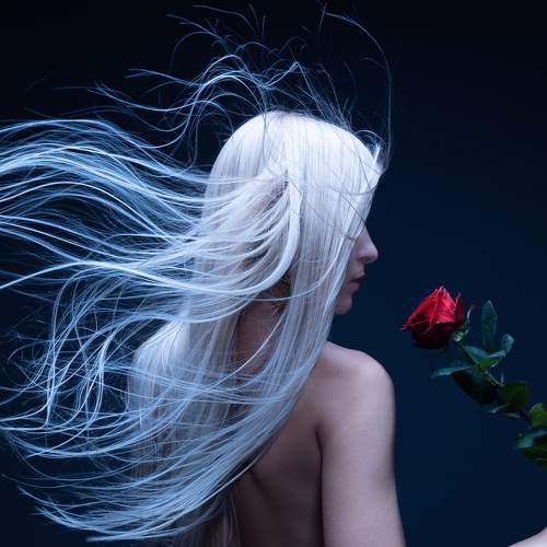 Northern wind