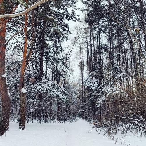 Photo #8674709