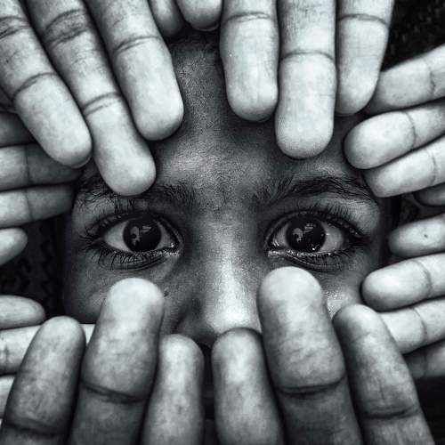 Photo #8674888