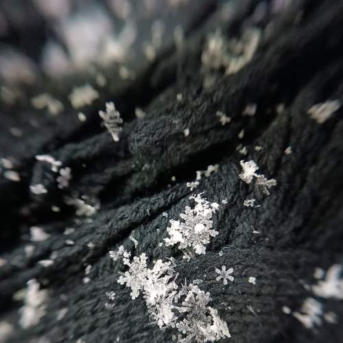 Photo #8674923