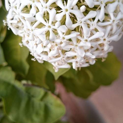 Photo #8675268