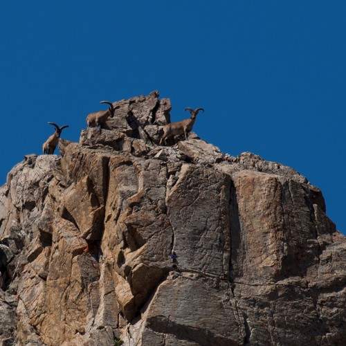 Photo #8675346