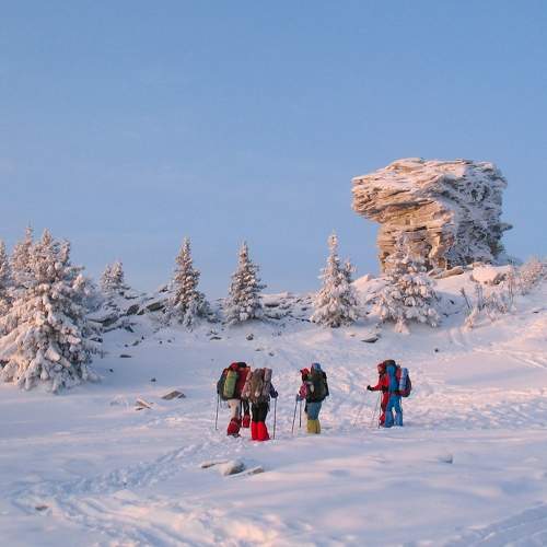 Photo #8675404
