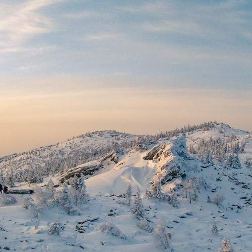 Photo #8675405