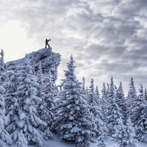 Photo #8675406