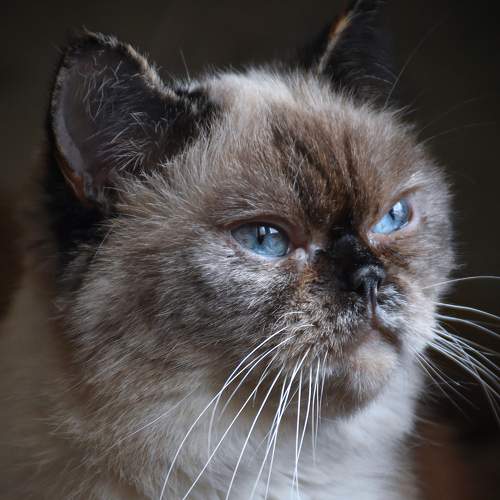 Photo #8675540