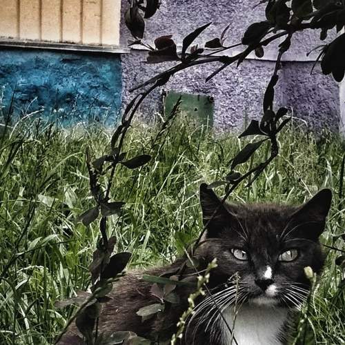 Photo #8675543