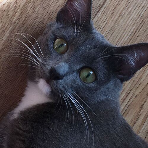 Photo #8675649