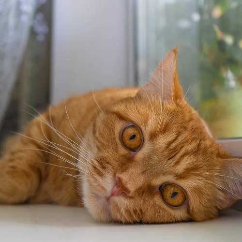 Photo #8675742
