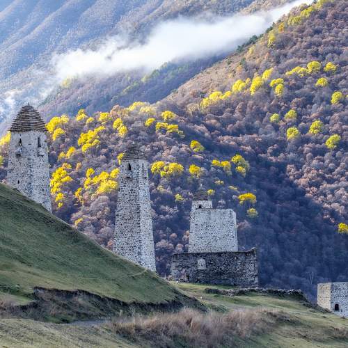 Photo #8676186