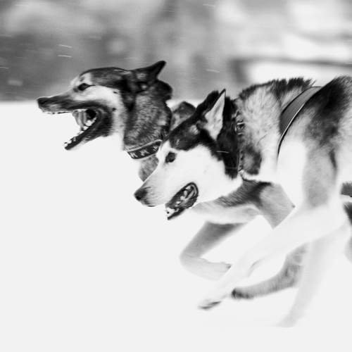 Photo #8676846