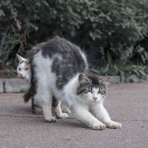 Photo #8676850