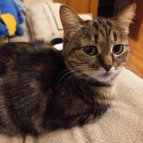 Photo #8676876