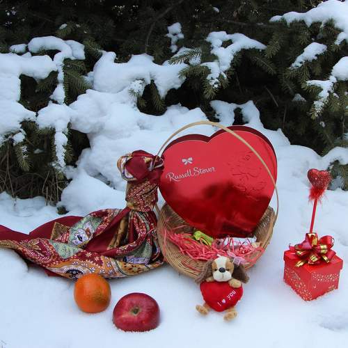 Photo #8676882