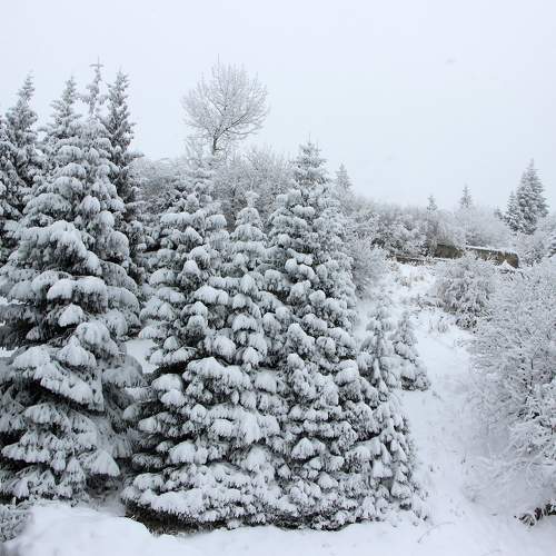 Photo #8677013