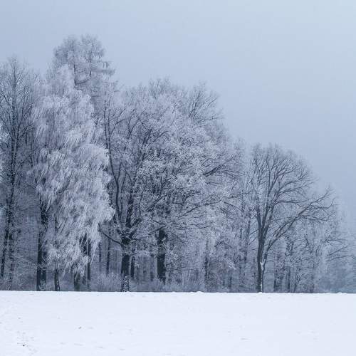 Photo #8677192