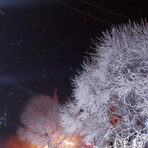 Новогоднее волшебство