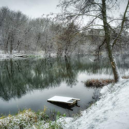 Photo #8677553