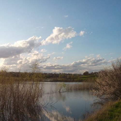 Photo #8677594