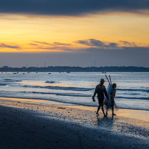 Photo #8677620