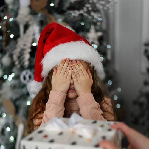 Photo #8677695