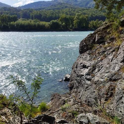 Photo #8677696
