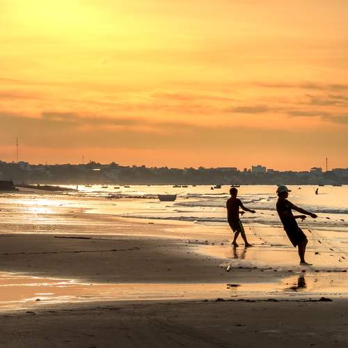 Photo #8677922