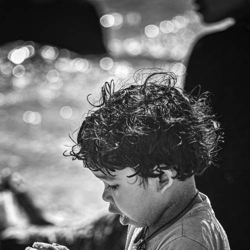 Photo #8677946