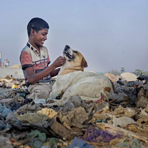 Happiness of a boy