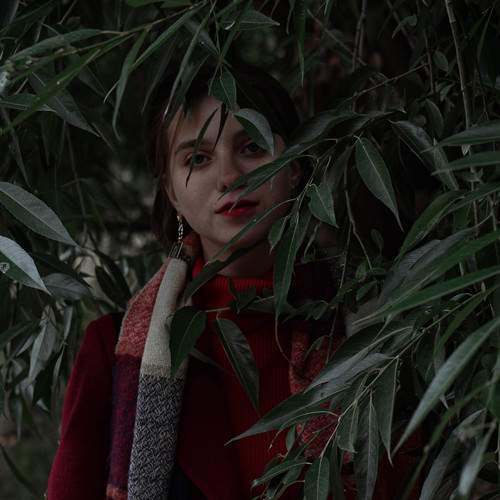 Photo #8678282