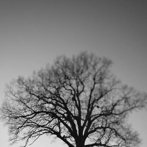 Photo #8678401