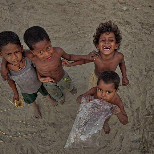 Photo #8678738