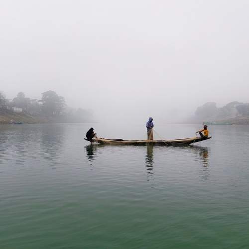 Photo #8678749
