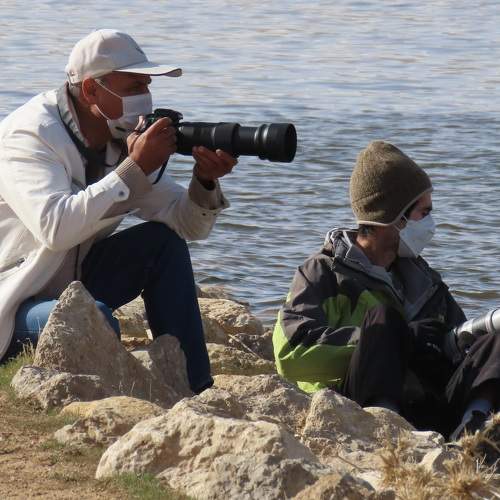 Photo #8678926
