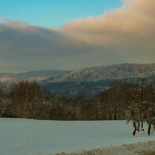 Photo #8679009