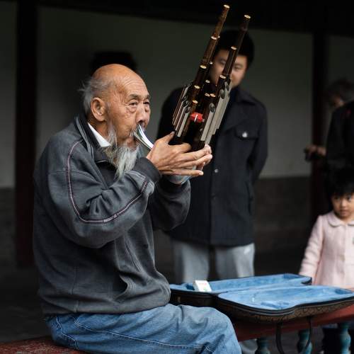 Photo #8679060