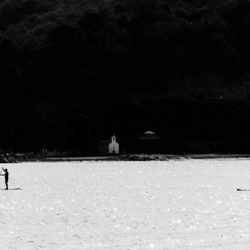 Photo #8679407