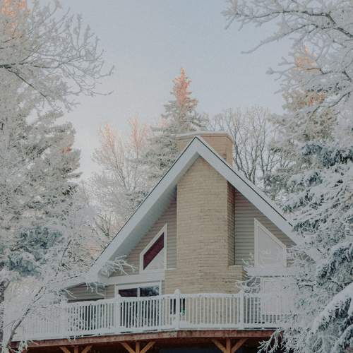 Photo #8679453