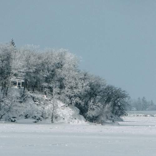 Photo #8679455