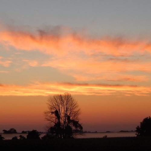 Photo #8679531