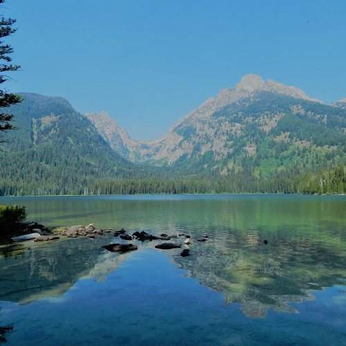 Photo #8679541