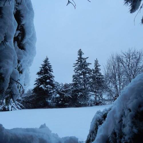 Photo #8679553