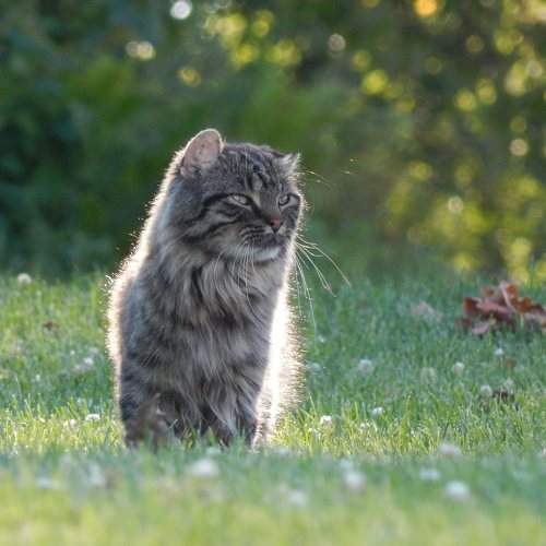 Photo #8679566