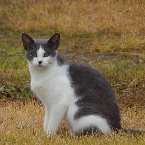 Photo #8679568